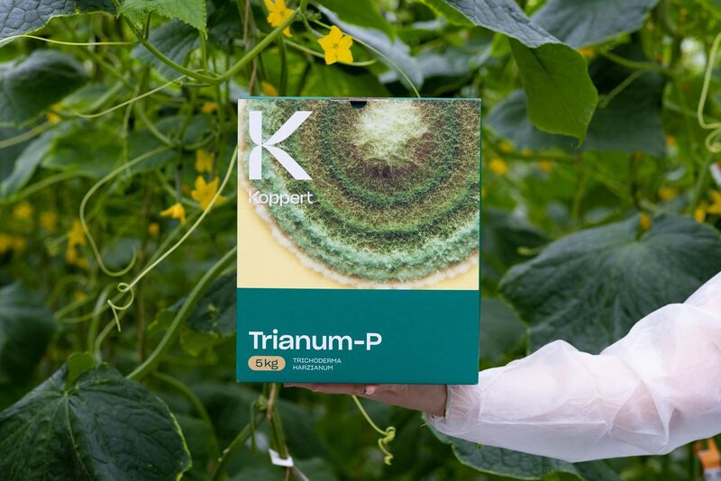 Trianum zawiera grzyb Trichoderma harzianum i skutecznie chroni przed chorobami gleby