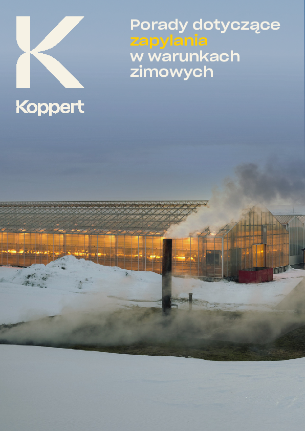 Zapylanie w warunkach zimowych - najlepsze praktyki