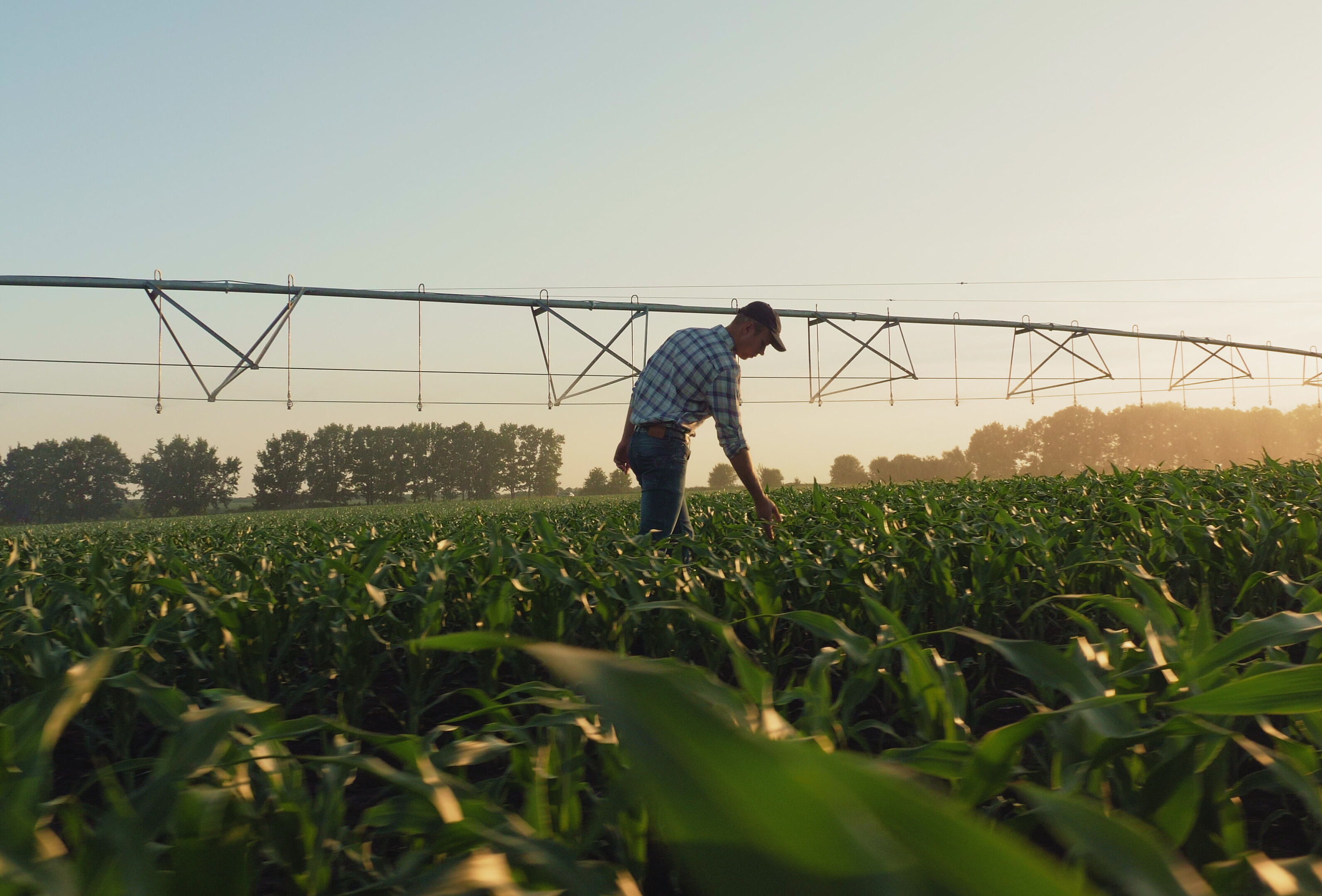 Światowy Dzień Gleby 2023