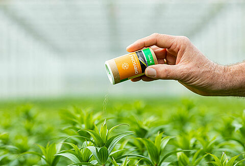 Chrysopa-E - nowy, skuteczny produkt