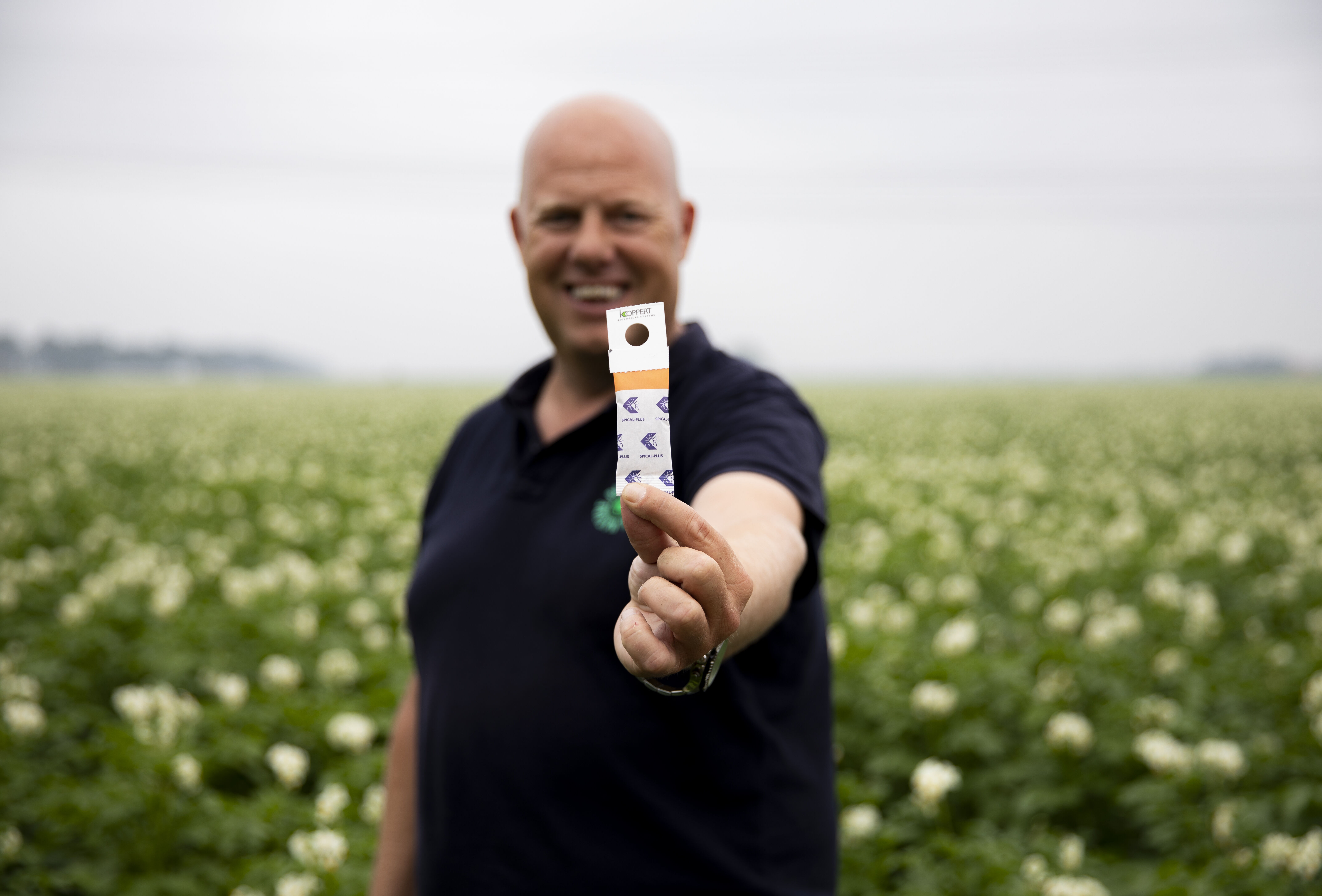 10 faktów o produkcie Spical