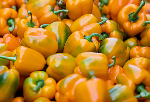 Nagranie webinaru pt. "Ochrona papryki i warzyw w tunelach przed szkodnikami" - 20.01.2021r