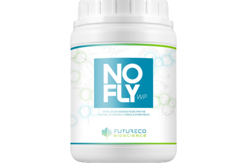 Futureco NoFly WP - nowy produkt na mączlika i wciornastka