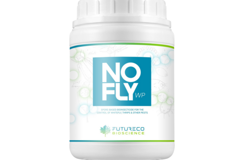 Futureco NoFly WP - nowy produkt na mączlika i wciornastka