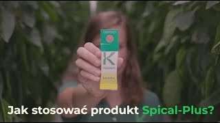 Jak stosować produkt Spical-Plus? | Koppert Polska