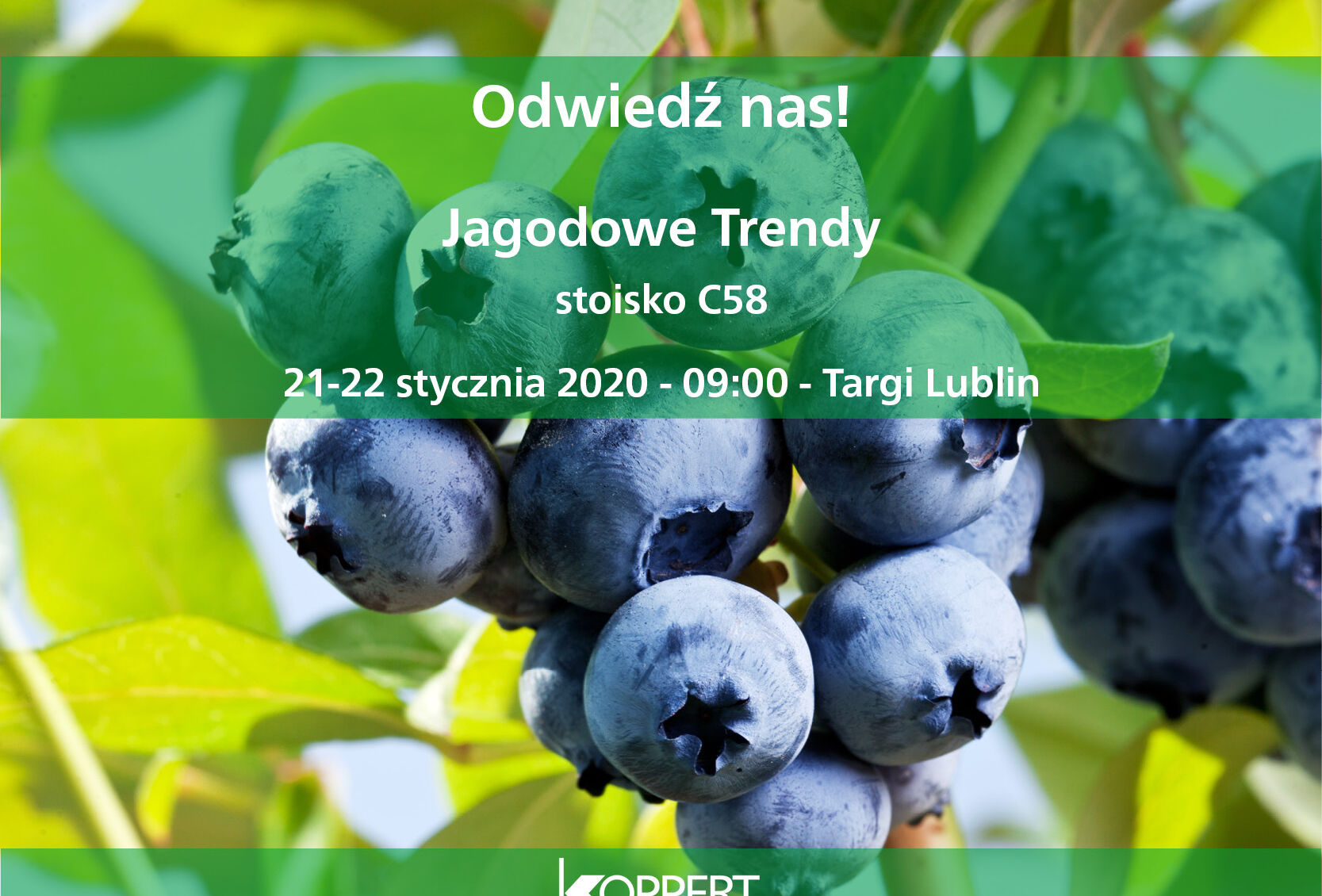 Jagodowe Trendy 2020