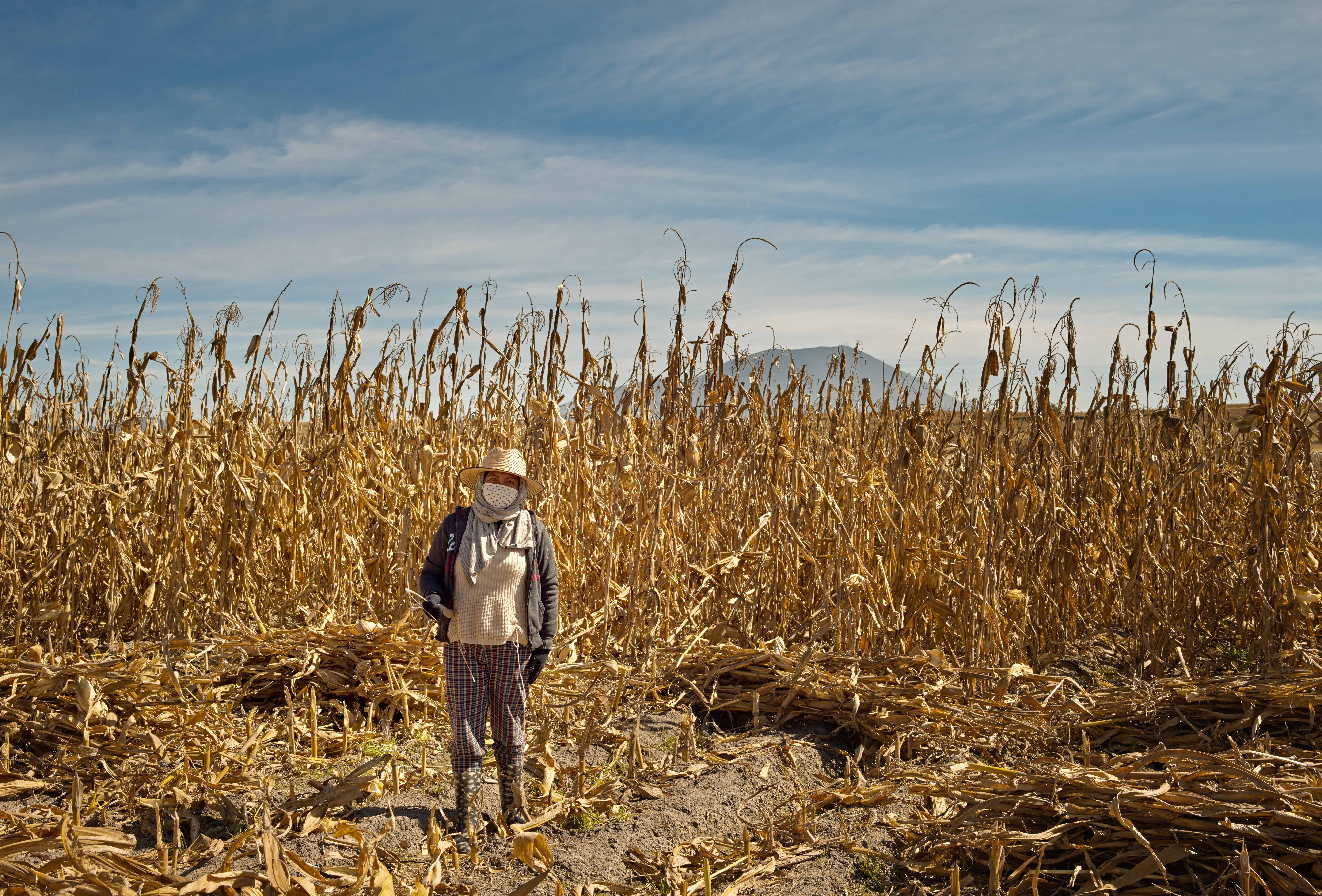 16 października - Światowy Dzień Żywności