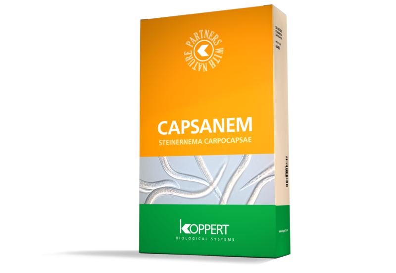 Capsanem.png