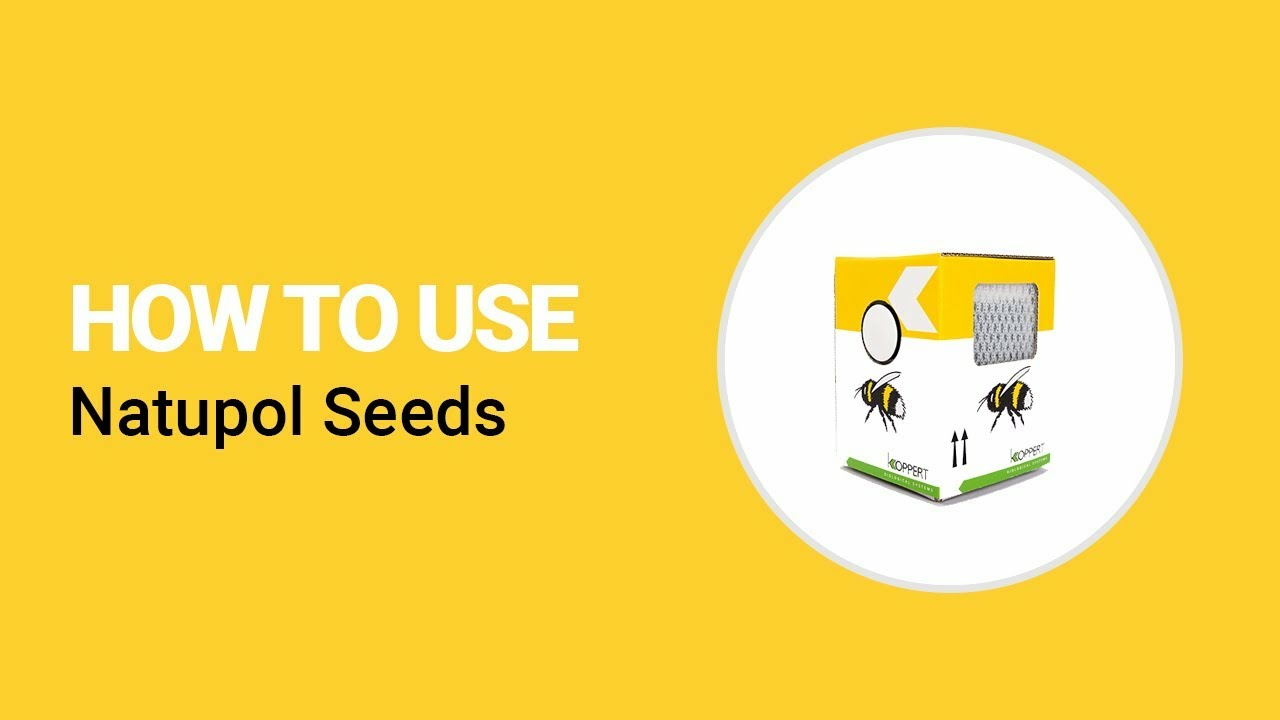 How to use Natupol Seeds from Koppert