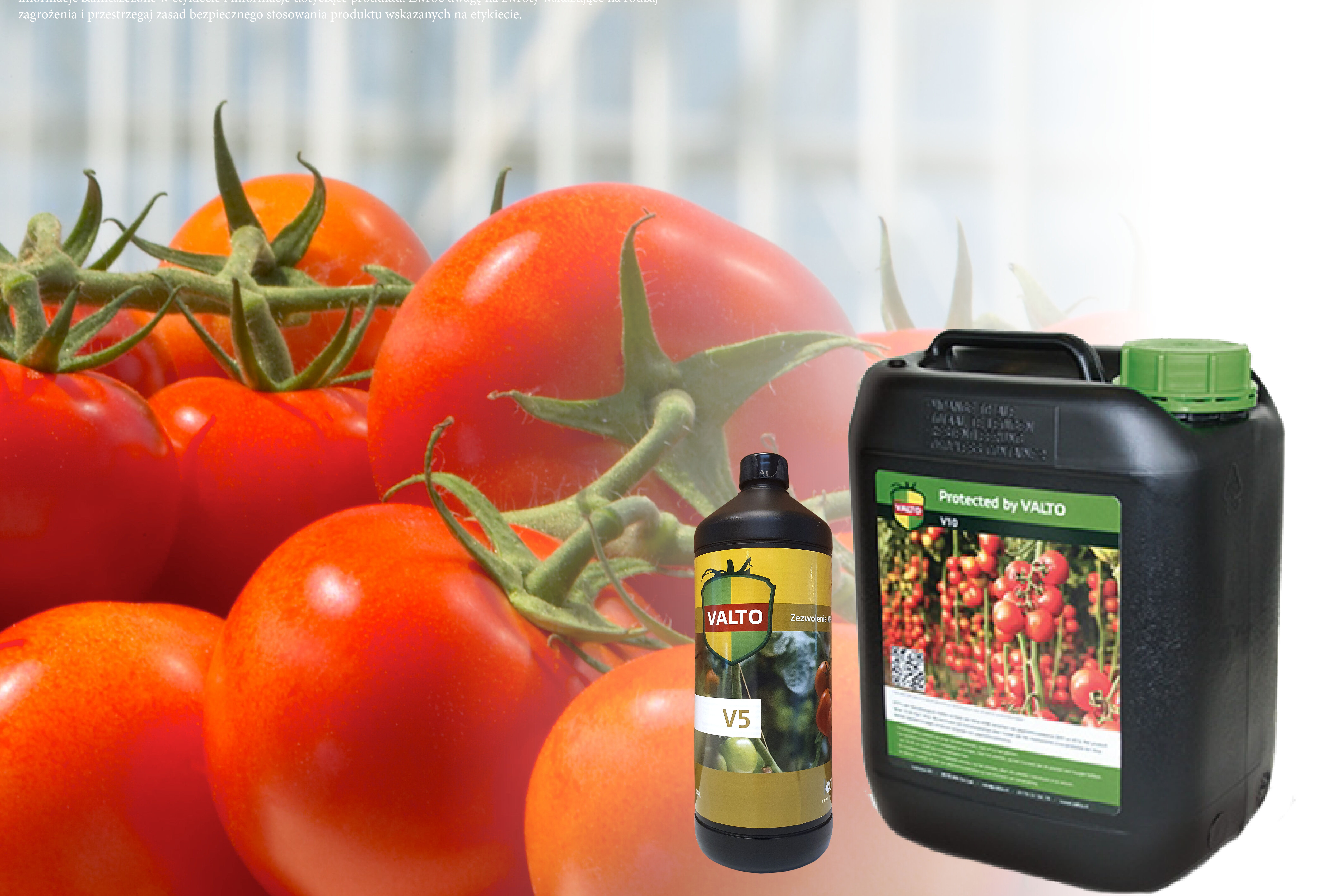 Szczepionka V10 skutecznym sposobem na PepMV