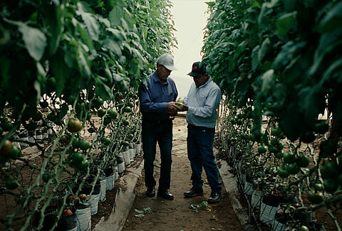 Rancho Los Pinos jest sprzymierzeńcem natury