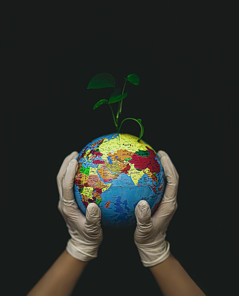 Fateme Alaie photo - Earth