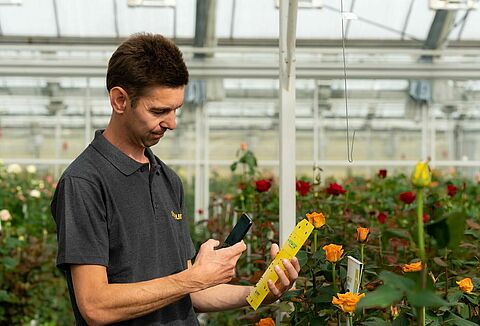 Mniejsze zużycie pestycydów chemicznych dzięki Natutec Scout