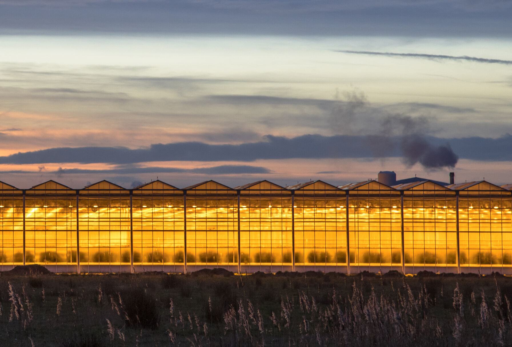 Skuteczne zapylanie w okresie zimowym
