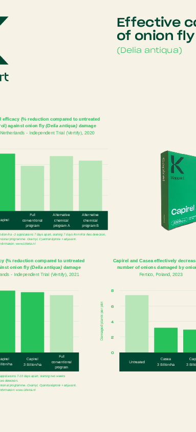 Skuteczne zwalczanie śmietki