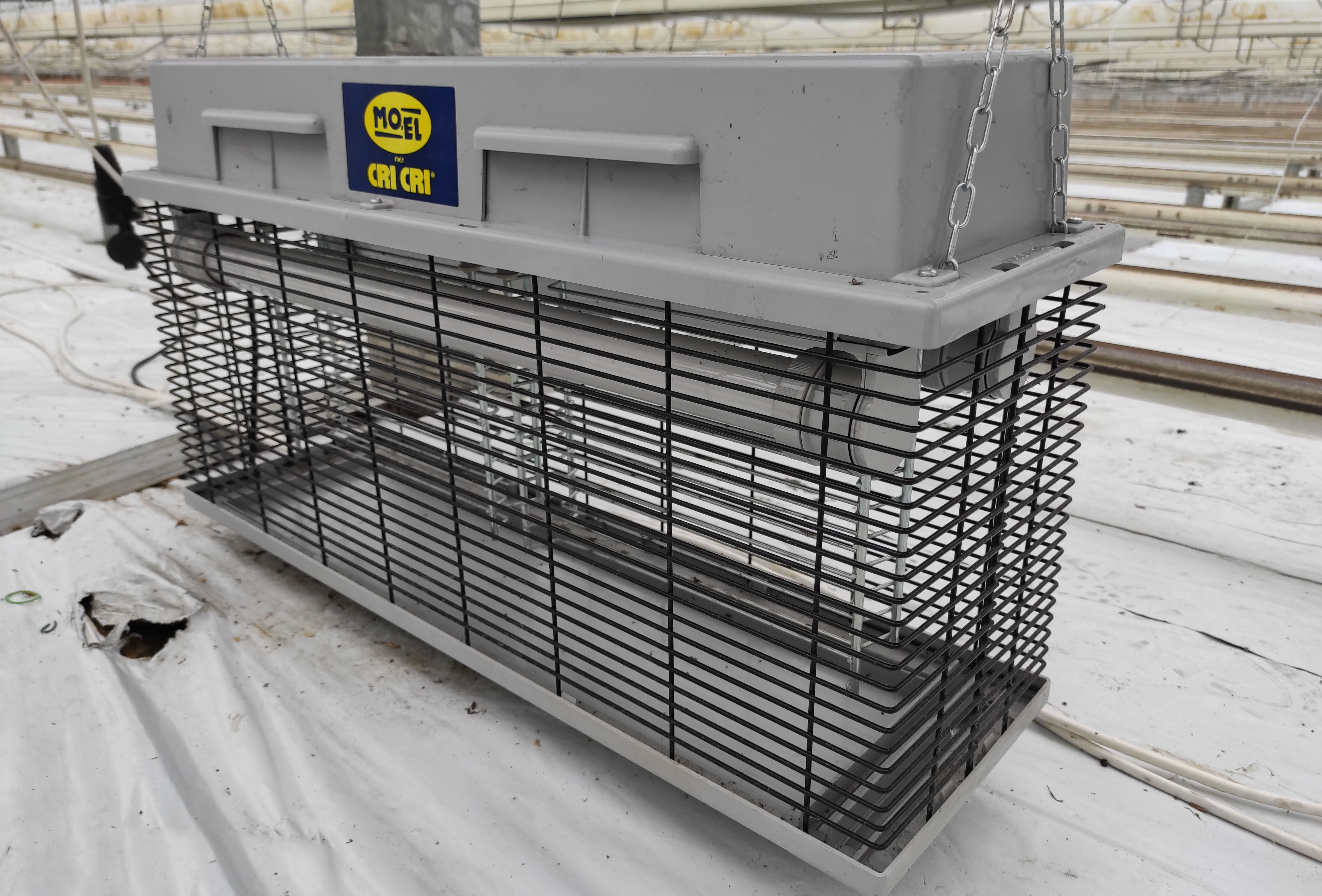 Lampy owadobójcze w szklarniach