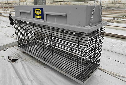 Lampy owadobójcze w szklarniach