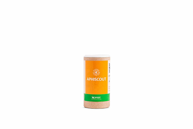 Aphiscout Koppert