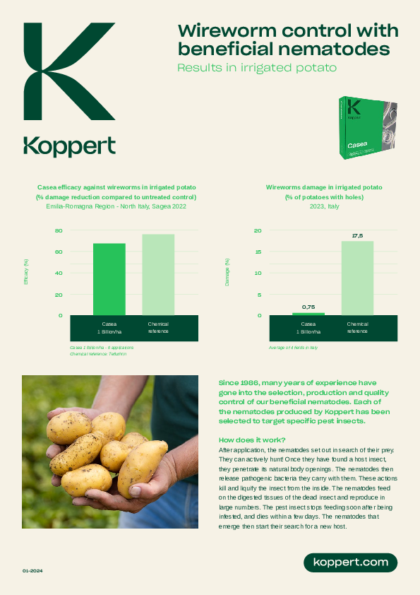 trial results wireworm control