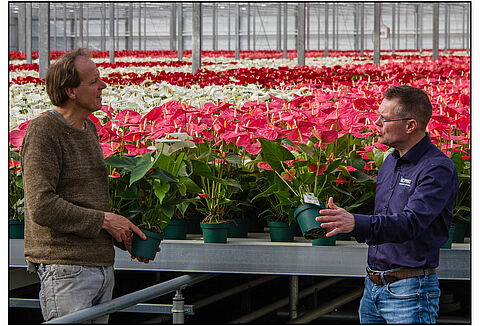 Amazone Plants kontynuuje ścieżkę upraw ekologicznych