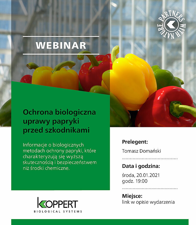 Zaproszenie_na_webinar_15-01-2021.jpg