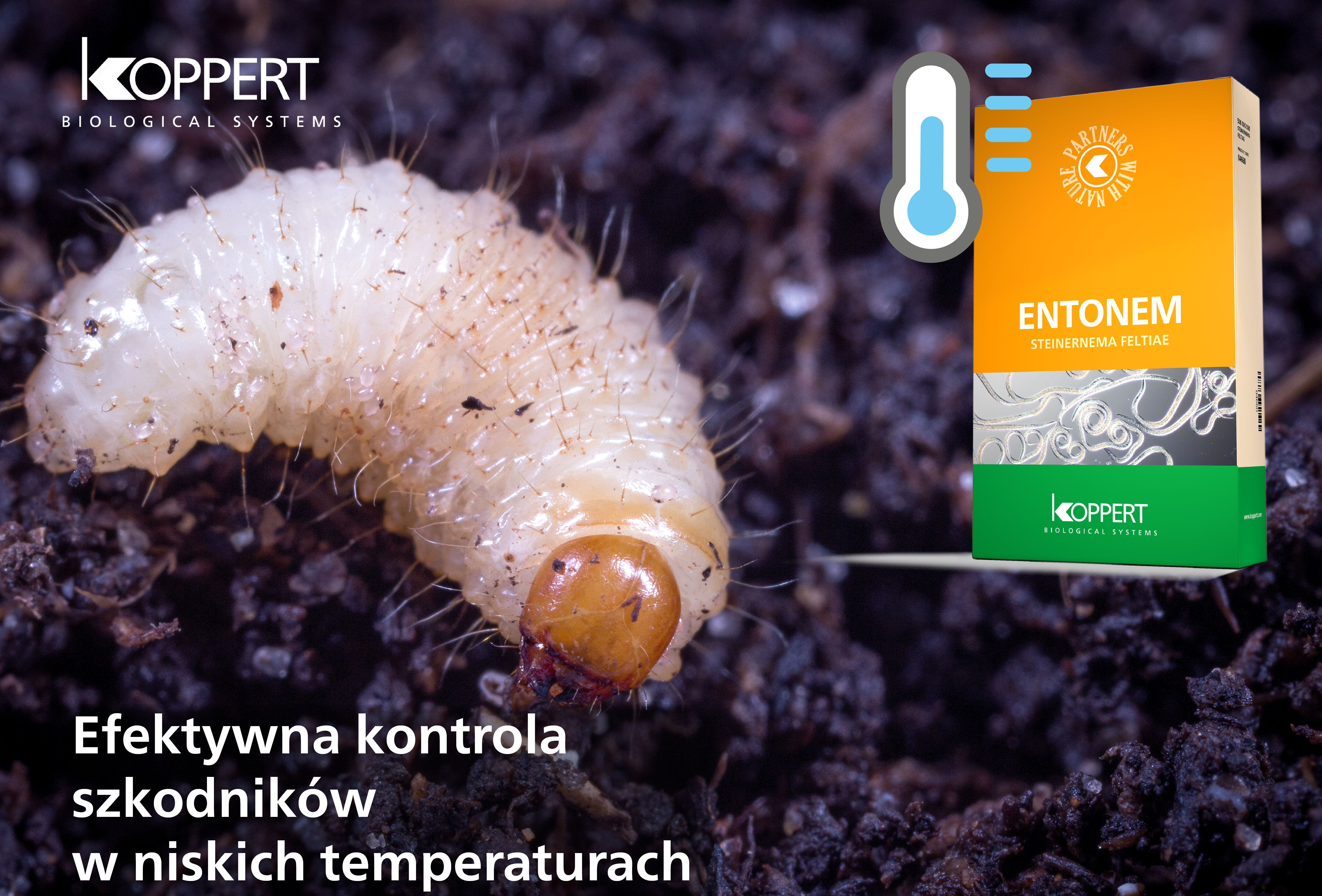 Efektywne działanie Entonemu w niskich temperaturach