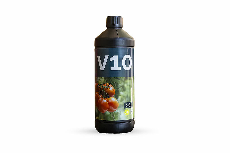 V10