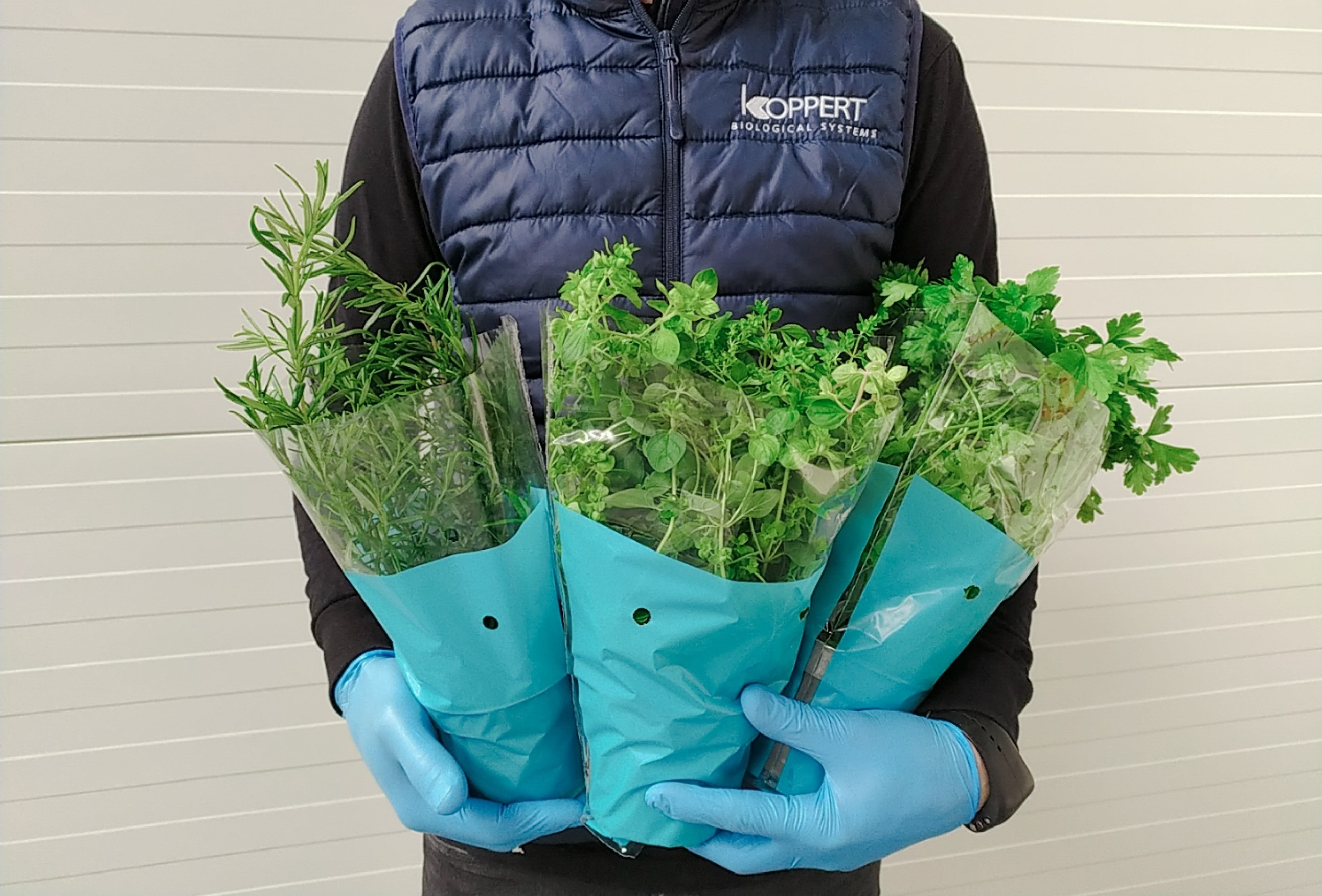 Wspieramy polskich producentów!