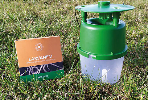 Koppert Polska dwukrotnie na podium w Konkursie Nowości Ogrodniczych