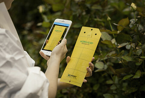 Natutec Scout - nowa aplikacja do szybkiej lustracji uprawy