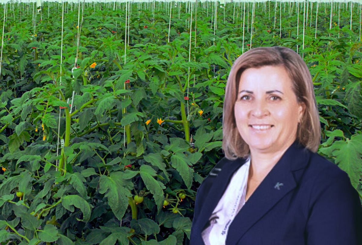 Okiem eksperta - aktualna sytuacja w uprawie pomidorów szklarniowych - 7.02.2025