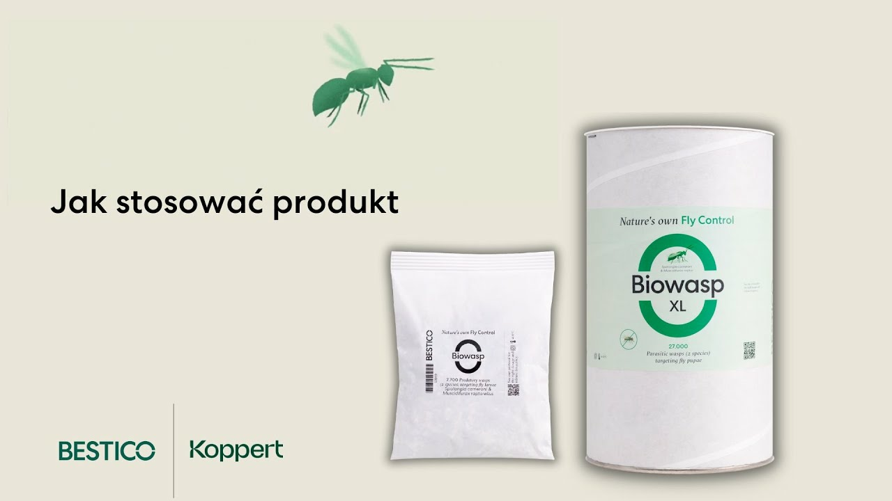 Jak stosować produkt Biowasp | Koppert Polska & Bestico Jak stosować produkt Biowasp | Koppert Polska & Bestico