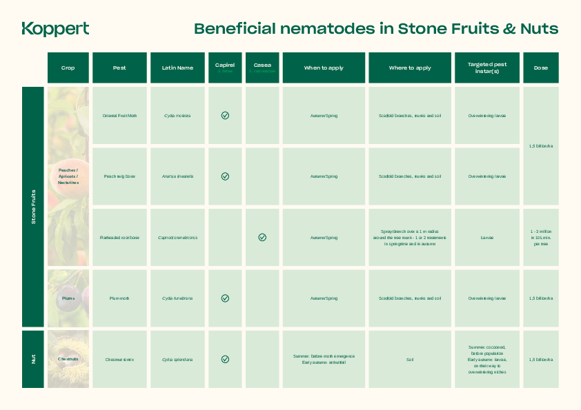 Target pests of beneficial nematodes in Stone Fruits & Nuts