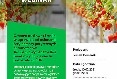 Webinar: Ochrona truskawek i malin w uprawie pod osłonami