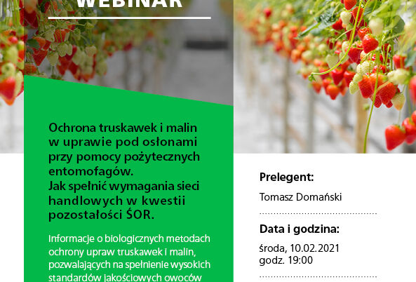 Webinar: Ochrona truskawek i malin w uprawie pod osłonami