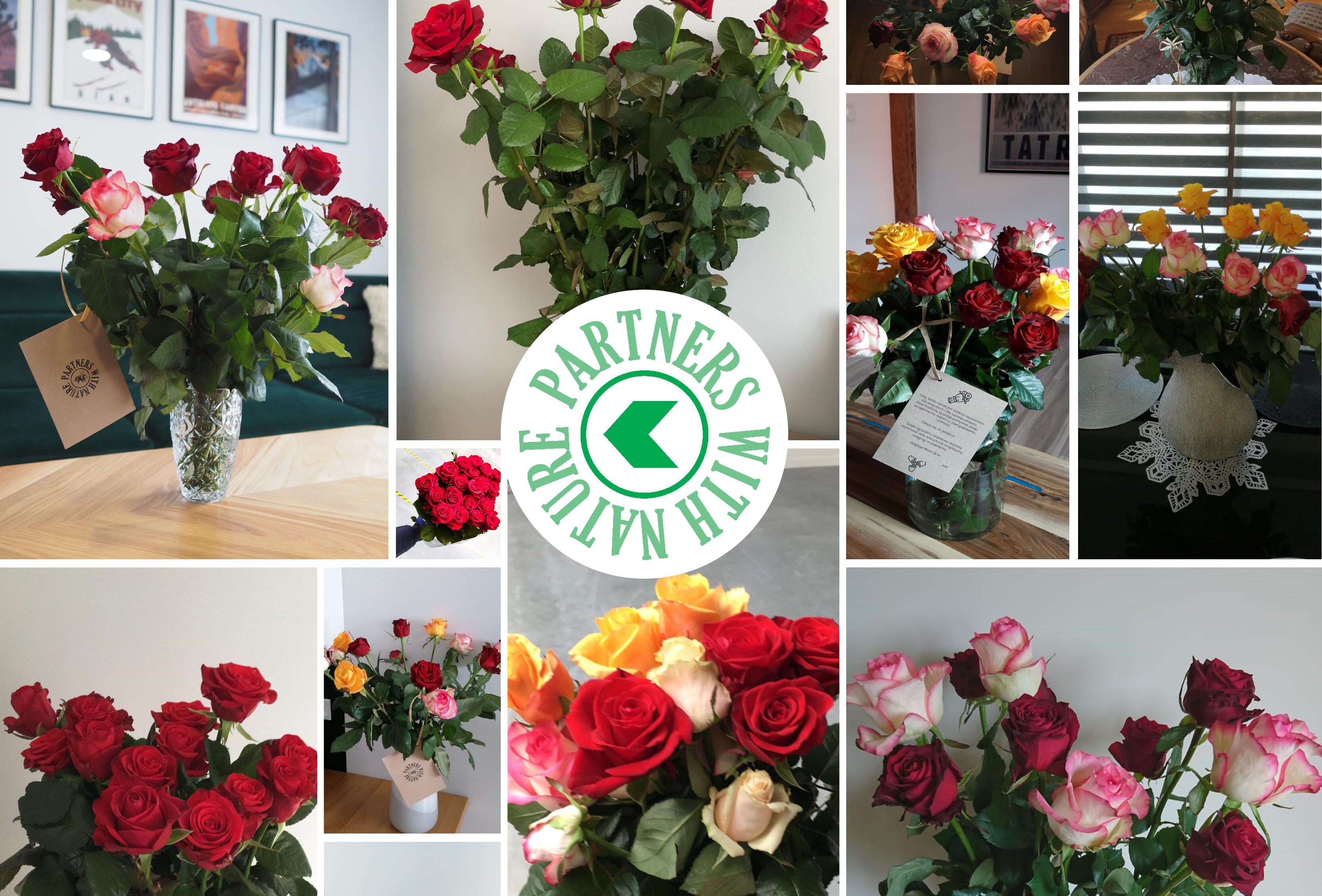 Wsparcie dla rynku kwiatów ciętych