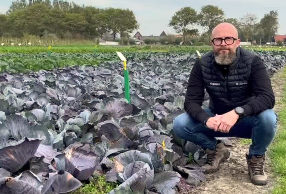 Okiem eksperta - uprawy polowe Polska centralna