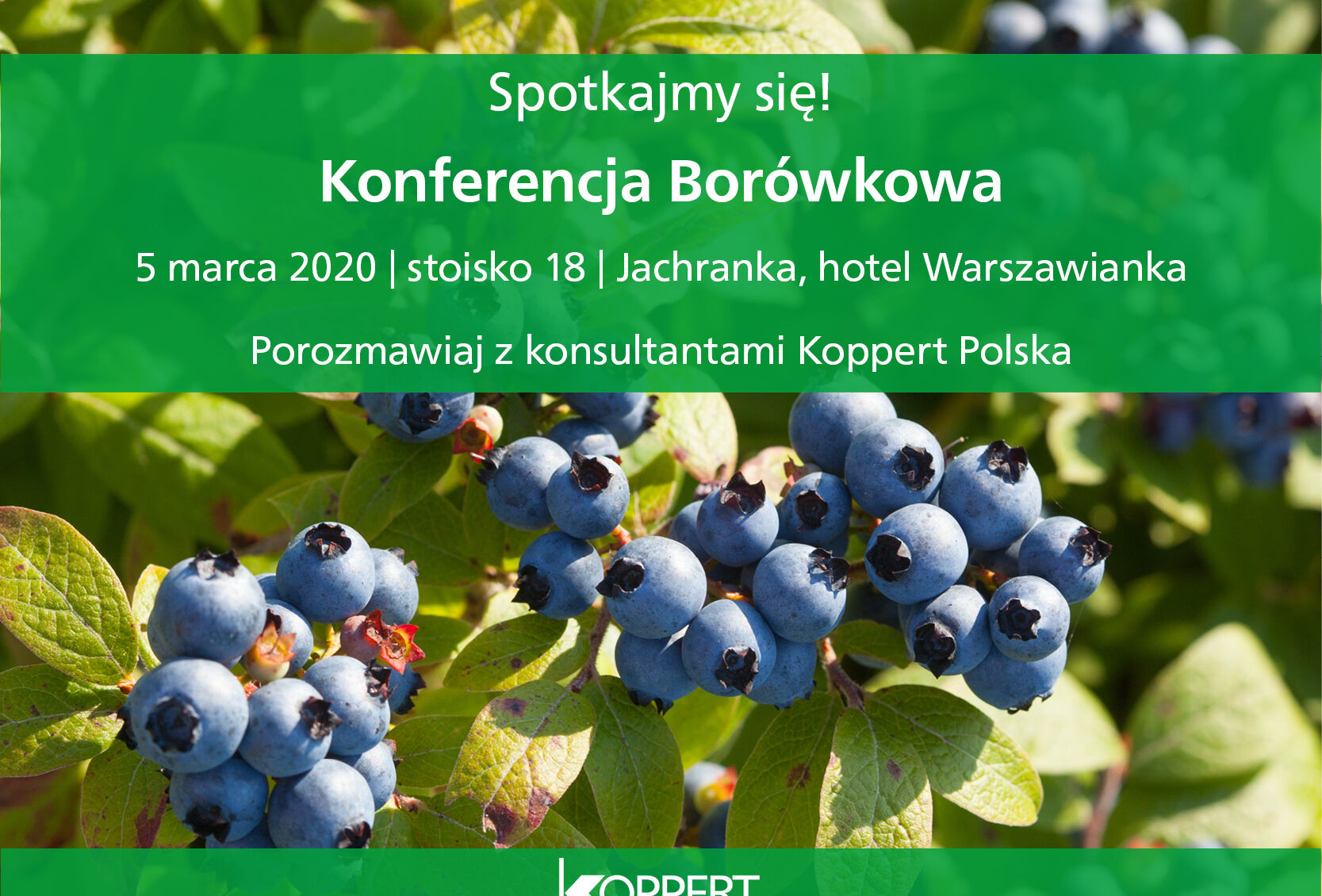 Konferencja Borówkowa 2020