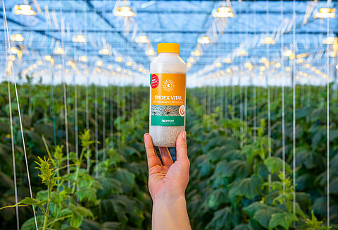 Spidex Vital: Twój partner w zwalczaniu przędziorków