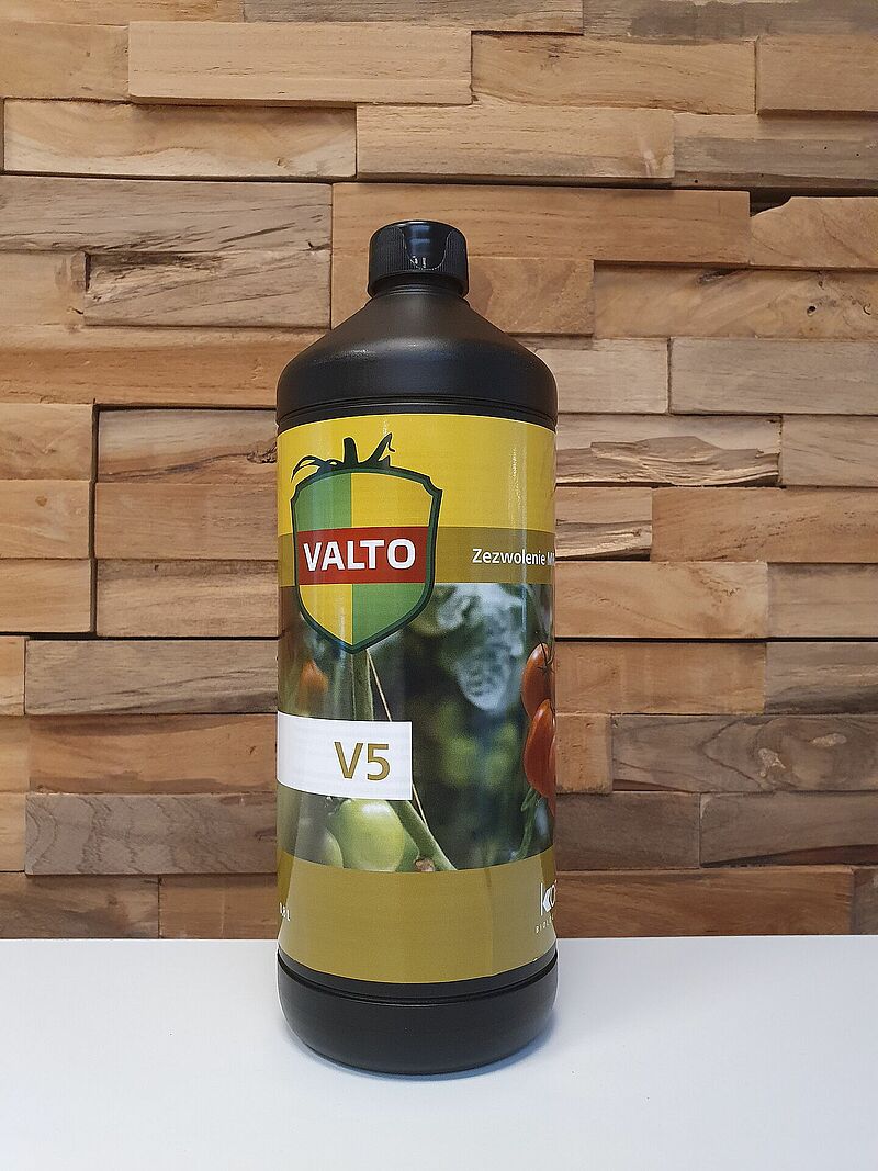 V5