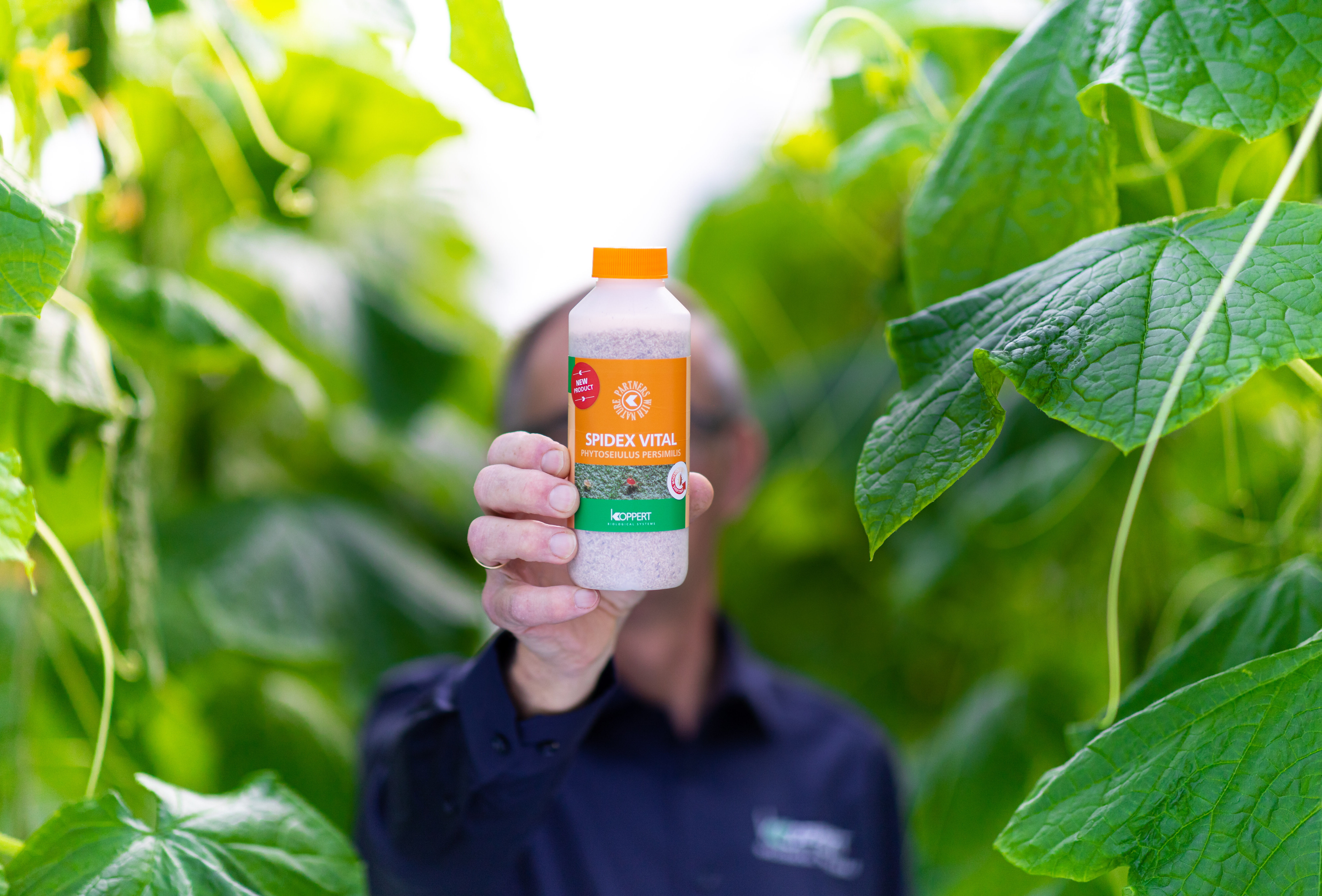 Spidex Vital - innowacyjny, ulepszony produkt do walki z przędziorkiem