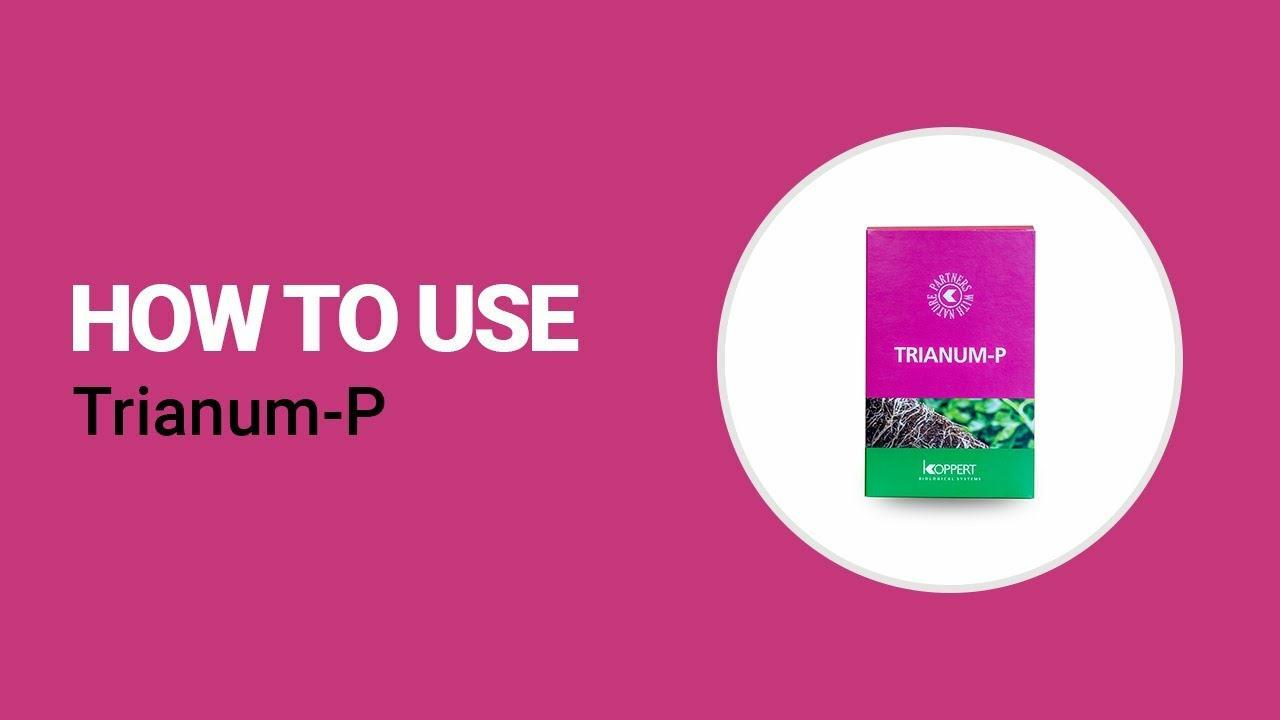 How to use Trianum-P from Koppert