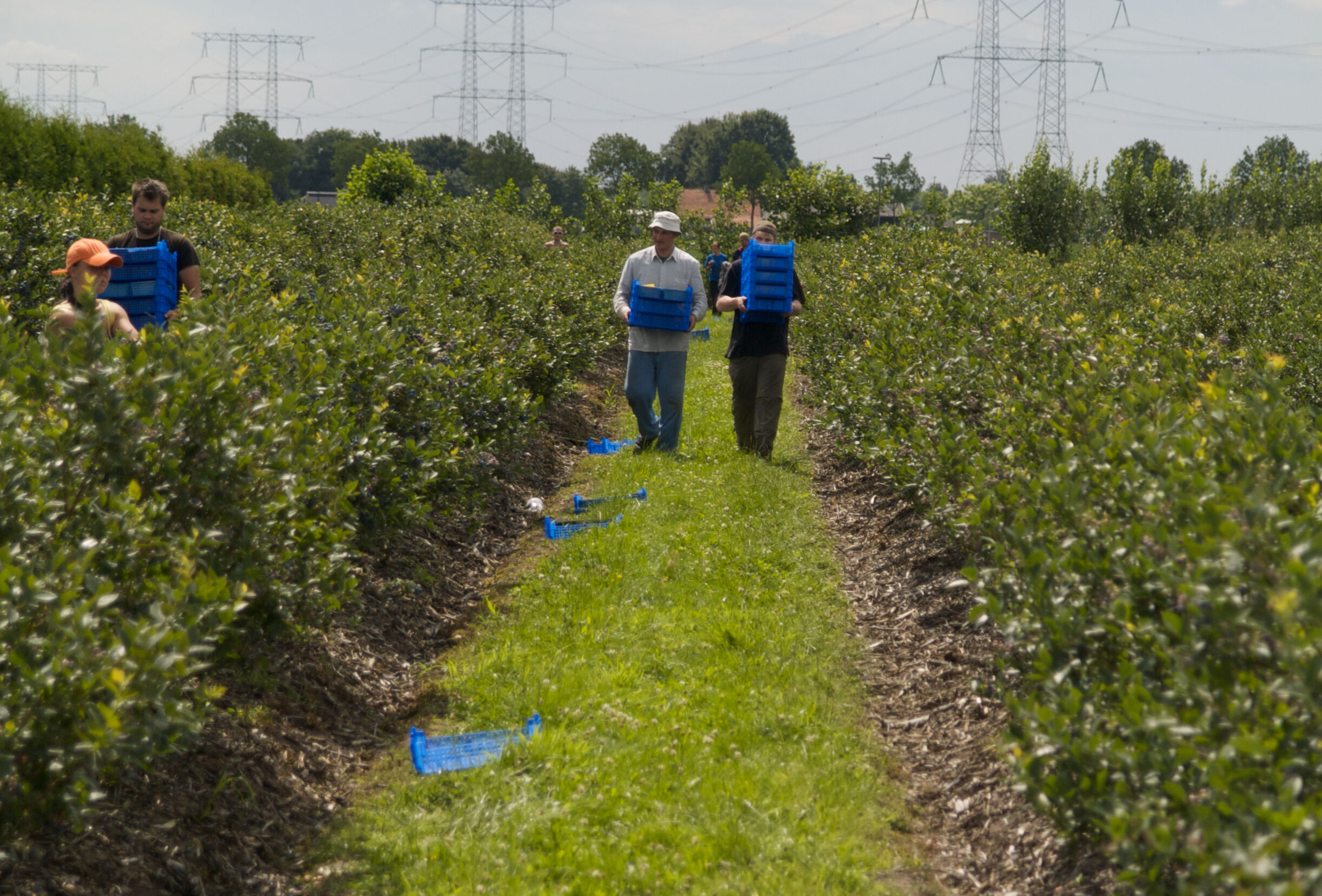 Najwięksi polscy producenci o walce z opuchlakami i pędrakami