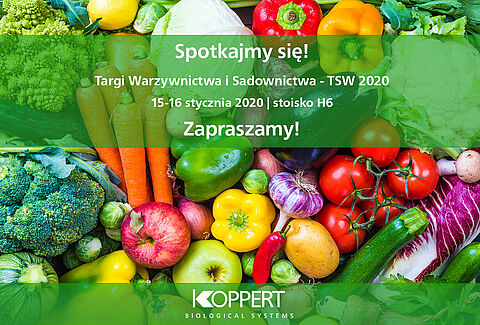 TSW 2020