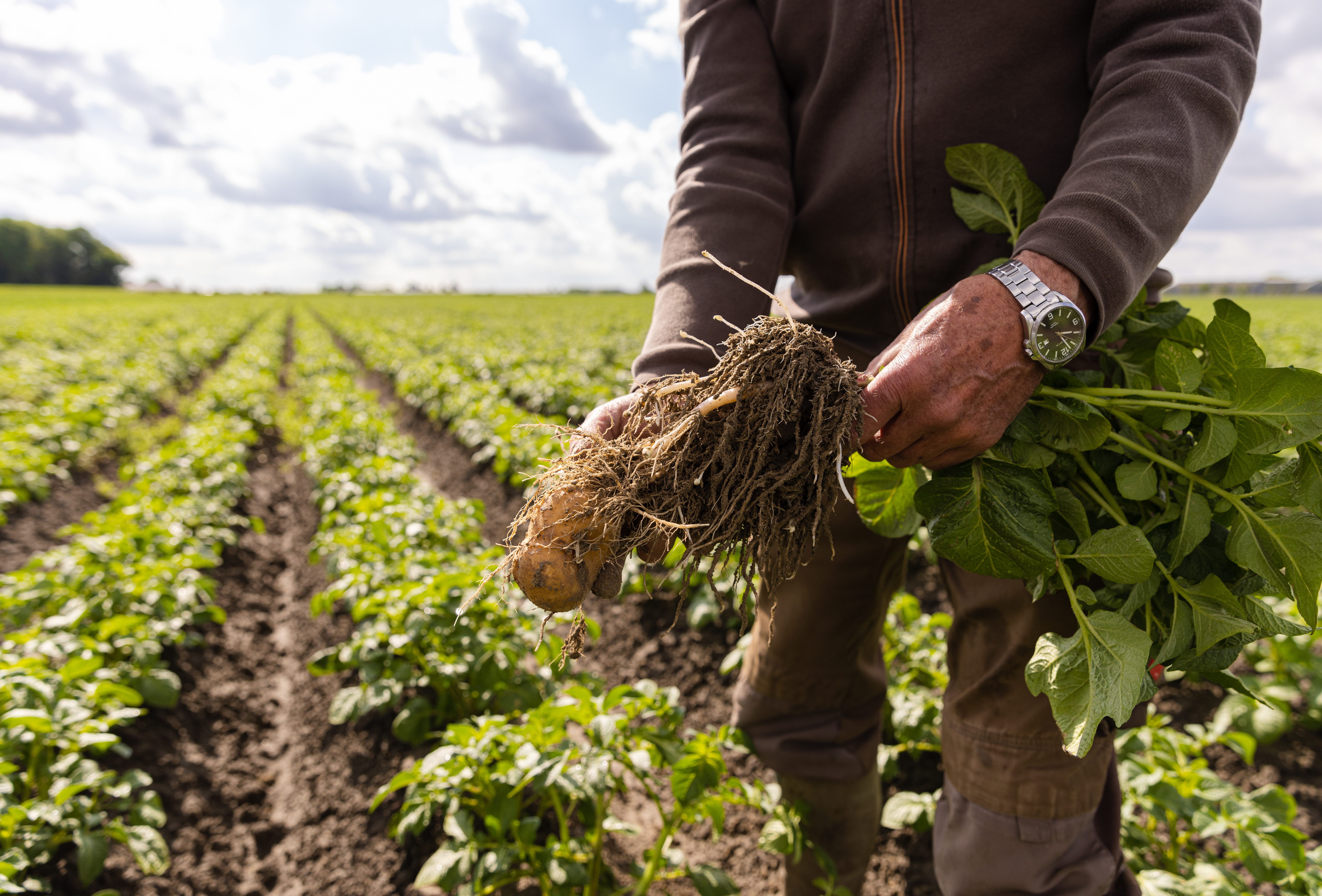Testy polowe potwierdzają skuteczność rozwiązań biologicznych