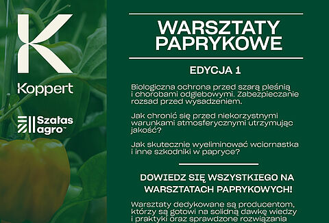 Warsztaty Paprykowe w Słowikowie 26.01.2023r.