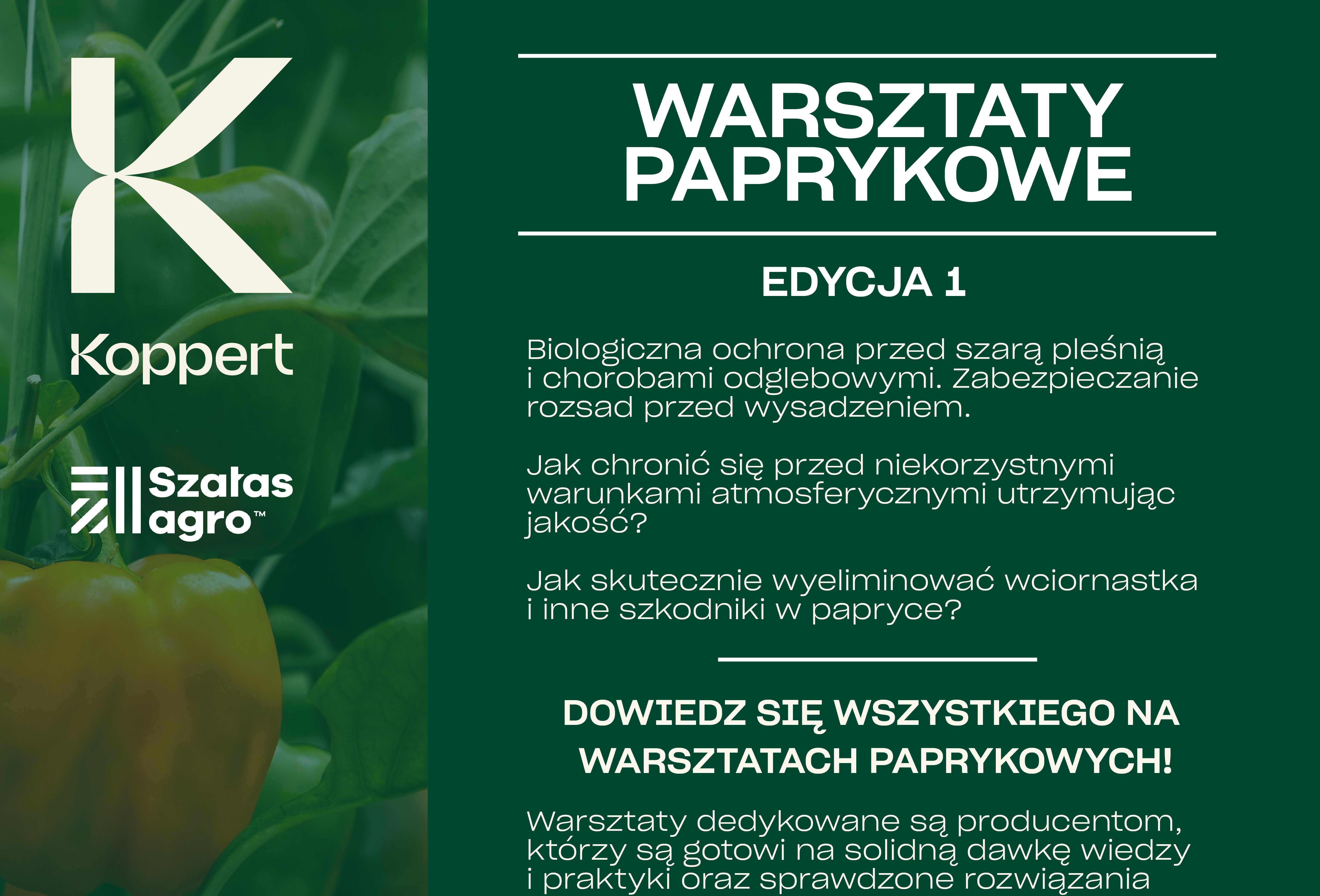 Warsztaty Paprykowe w Słowikowie 26.01.2023r.