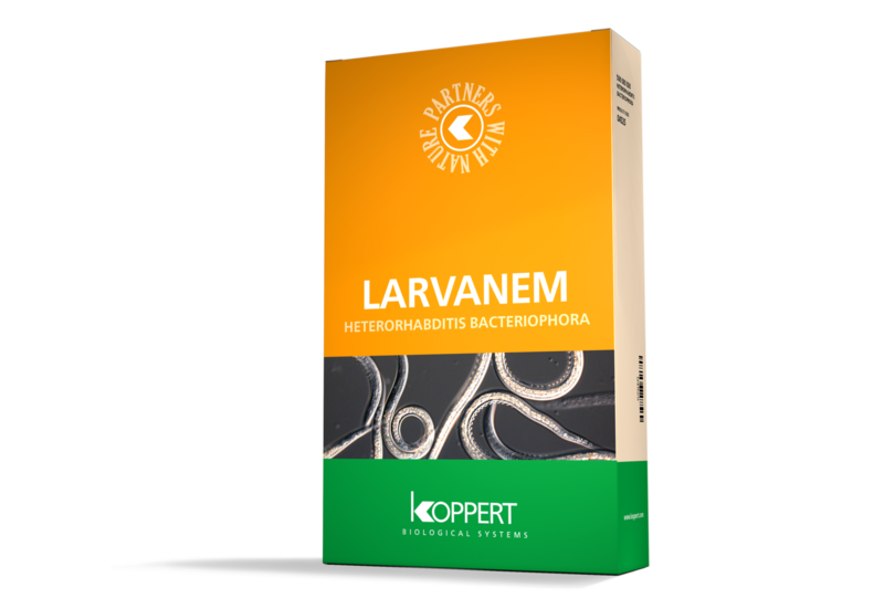 Lavarnem_groot__2_.png