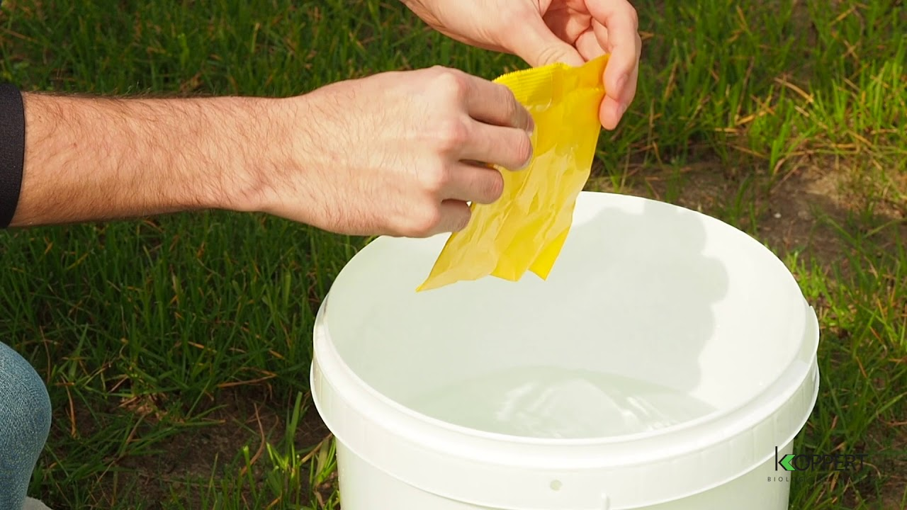 Larvanem, nicienie na opuchlaka, Heterorhabditis bacteriophora Larvanem, nicienie na opuchlaka, Heterorhabditis bacteriophora