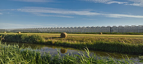 „Rozwiązania biologiczne oferują wiele korzyści” - Martin Koppert